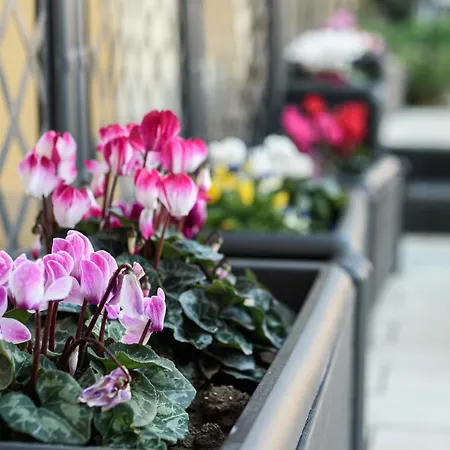 Maria Theresa & Garden *