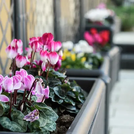 Apartment Maria Theresa & Garden Naples